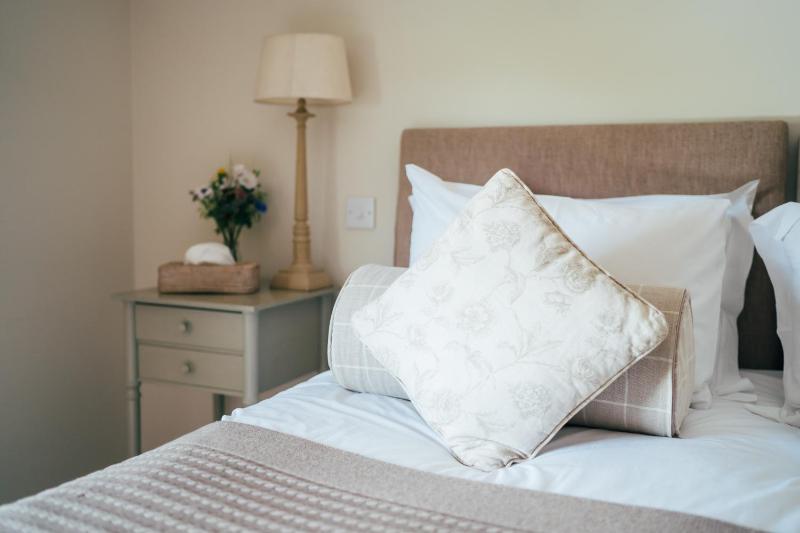 Superior Double or Twin Room image 4