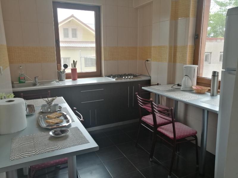 Vila Iulia - image 11