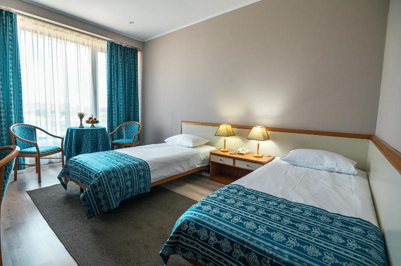 Superior Twin Room image 4