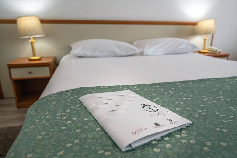 Superior Double Room image 2