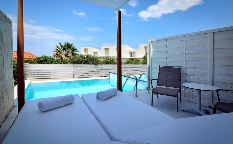 Classic Double Room with Private Pool  image 3