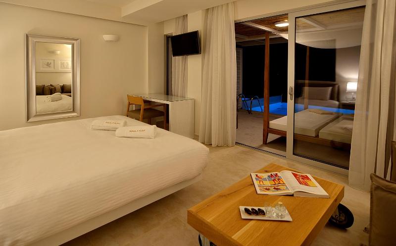 Classic Double Room with Private Pool  image 4