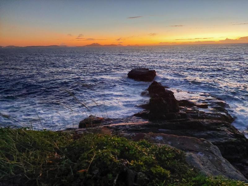 Encantos do mar - image 16