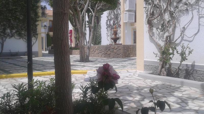 Apartamentos Vera Coast - image 5