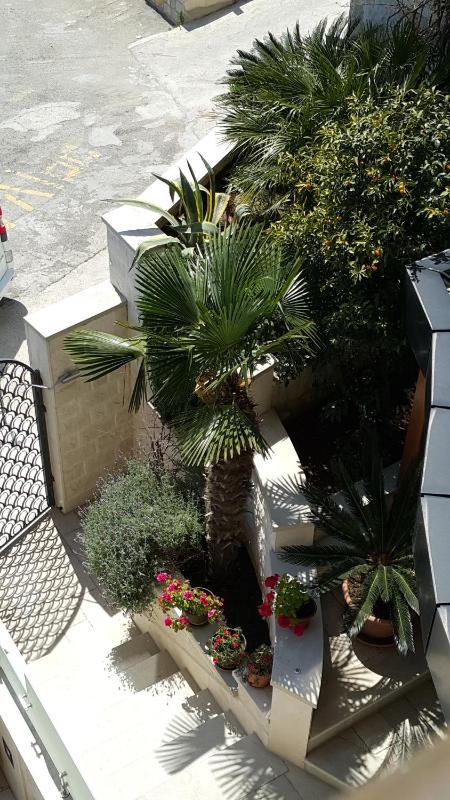 Studio with Balcony image 2