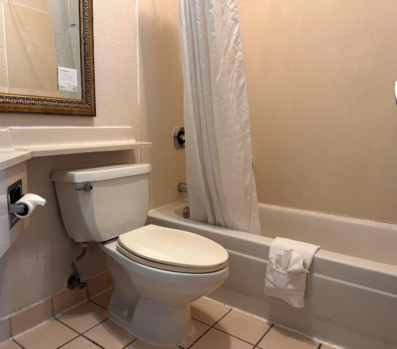 King Room - Non-Smoking image 1
