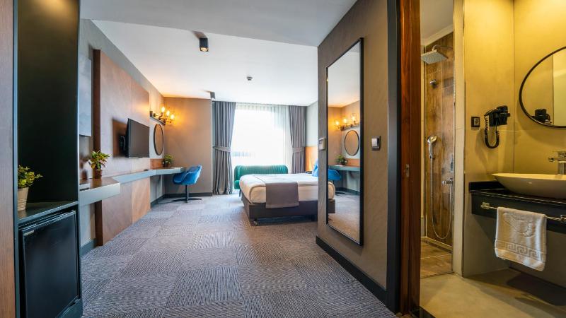 Deluxe Double or Twin Room image 2