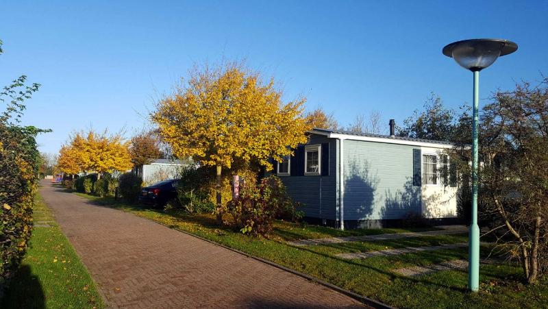 Chalet for 6 persons (pets not allowed) image 3