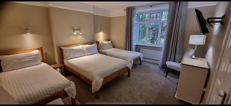 Family Room with En-suite Shower -1st Floor image 4