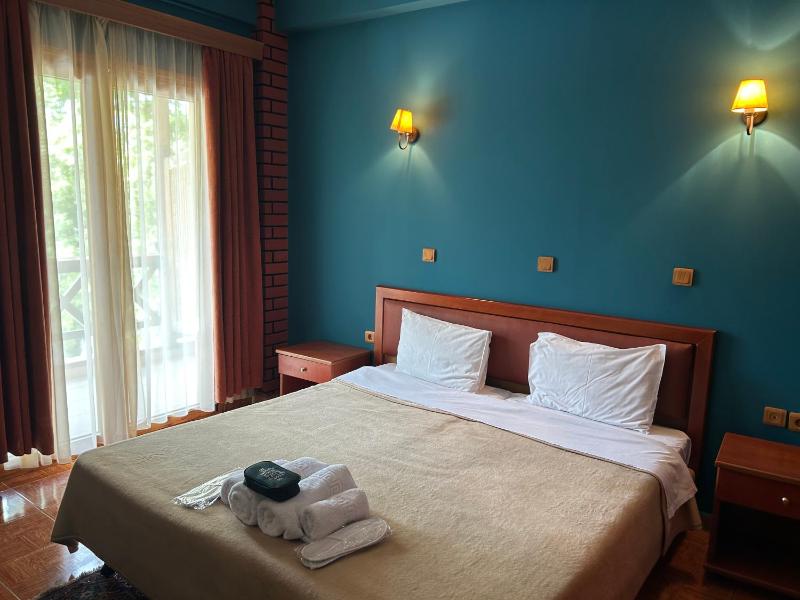 Double or Twin Room image 1