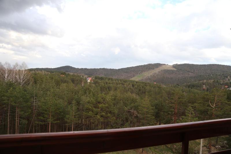 One-Bedroom Apartment image 4