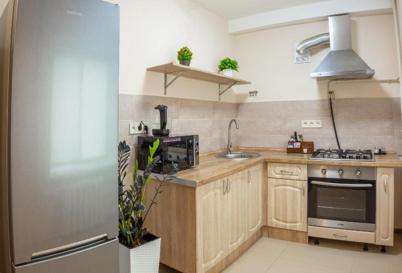 One-Bedroom Apartment image 2