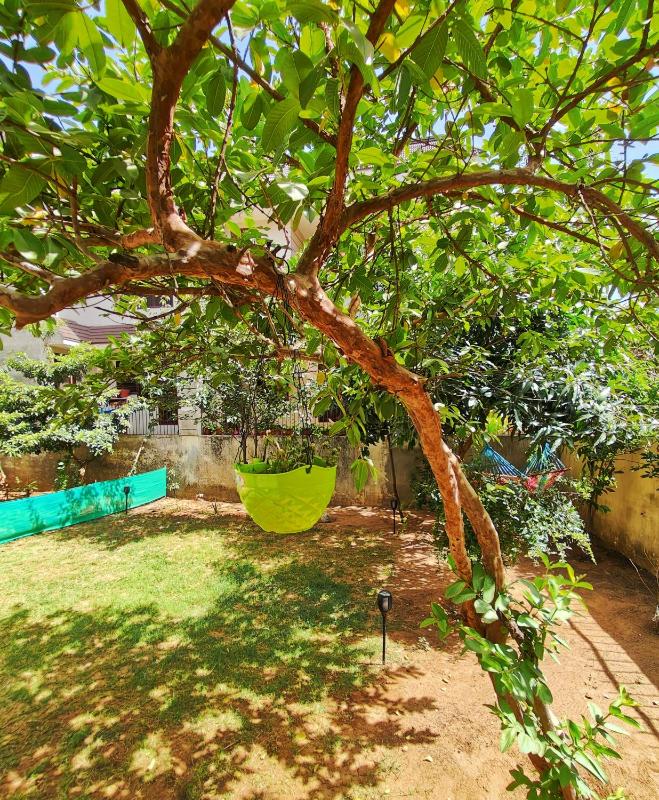 The Nest - image 13