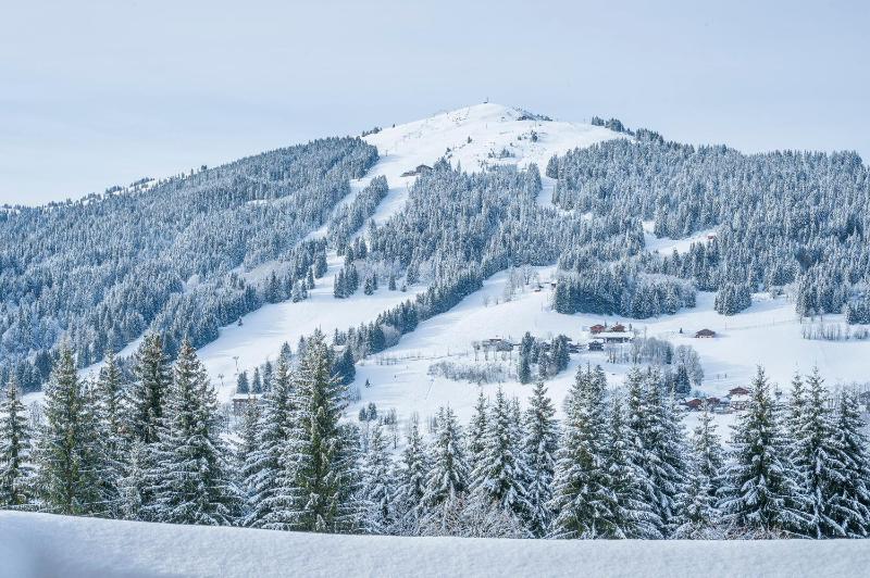 Chalet Le Lapye - image 21