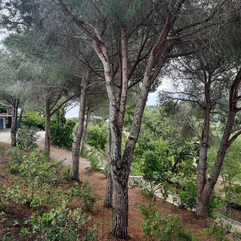 Villa Leonida - image 17