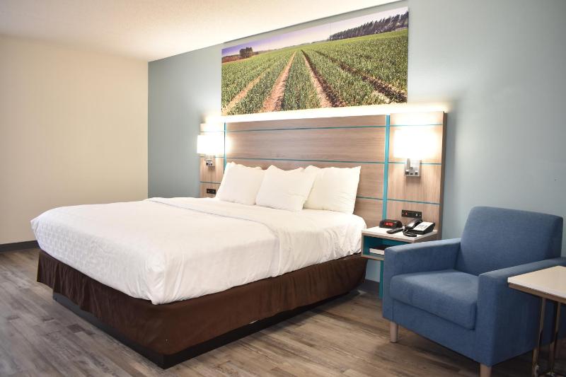 King Room - Disability Access/Non-Smoking image 4
