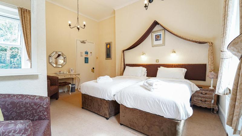 Standard Twin Room image 1