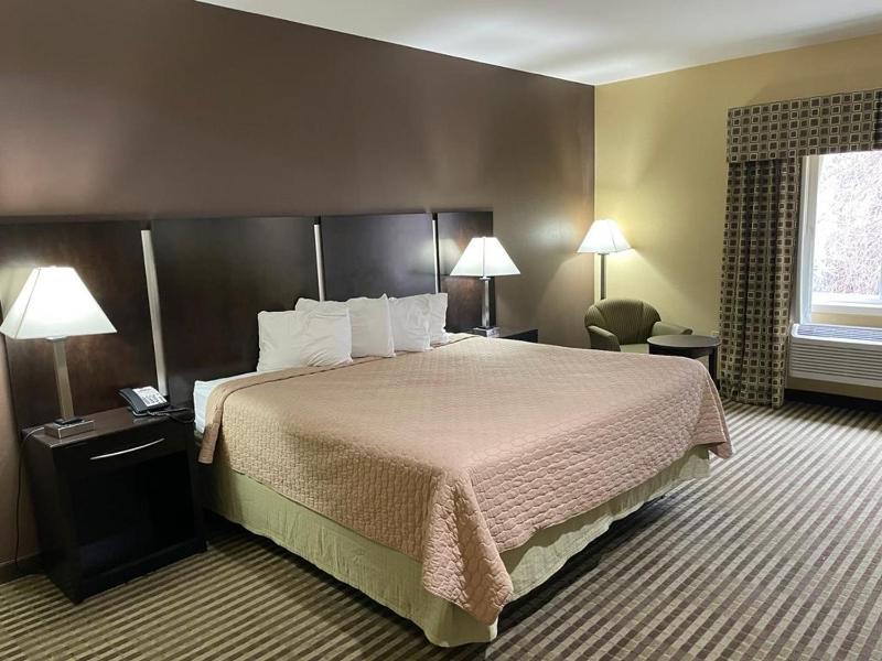 Deluxe King Suite image 1