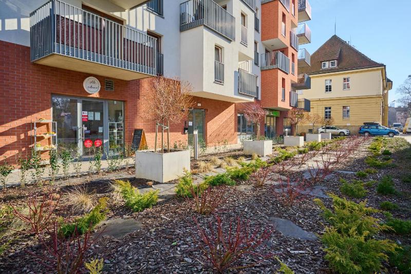 Dmowskiego 13 Tectum Apartments - image 7