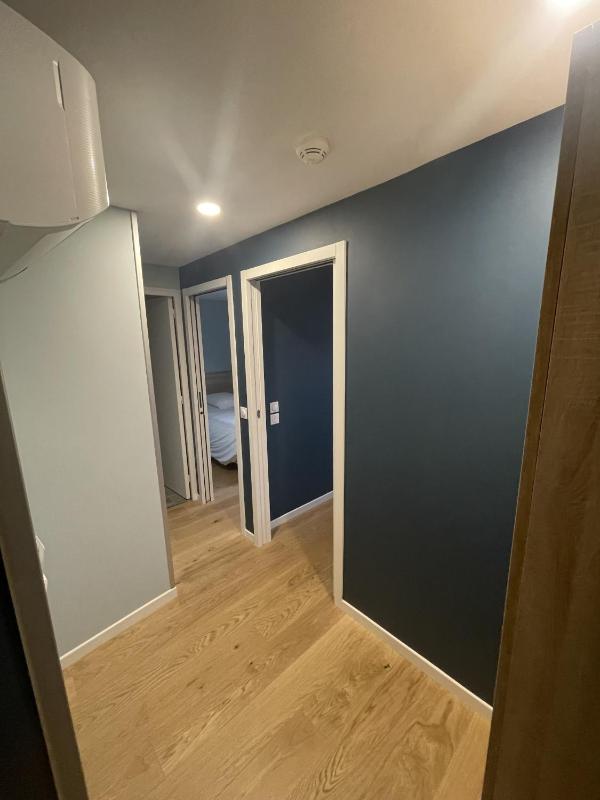 One-Bedroom Apartment image 2