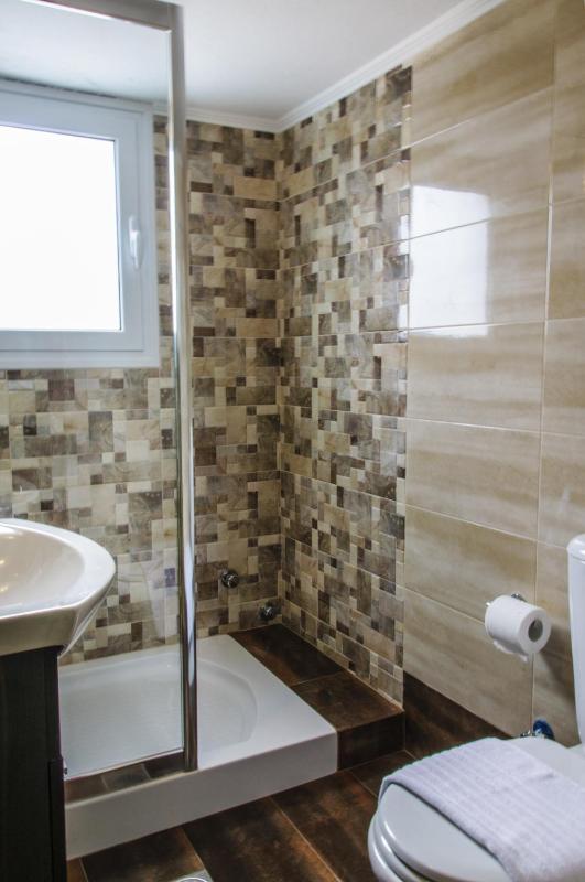 One-Bedroom Apartment image 4