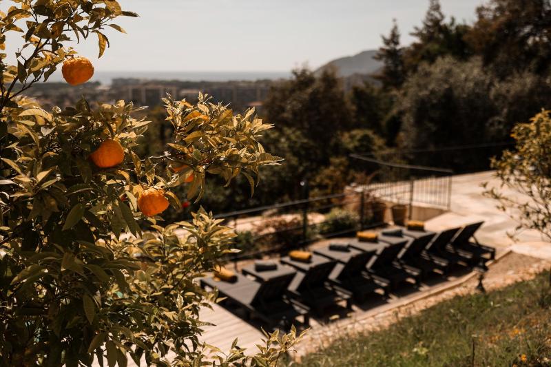 Villa Les Roches - image 38