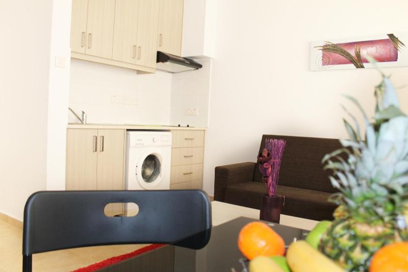 One-Bedroom Apartment image 3