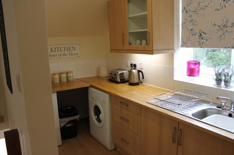 One-Bedroom Apartment image 3