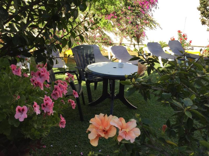 Hotel Carmen Teresa - image 30