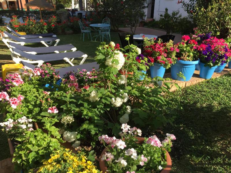 Hotel Carmen Teresa - image 12