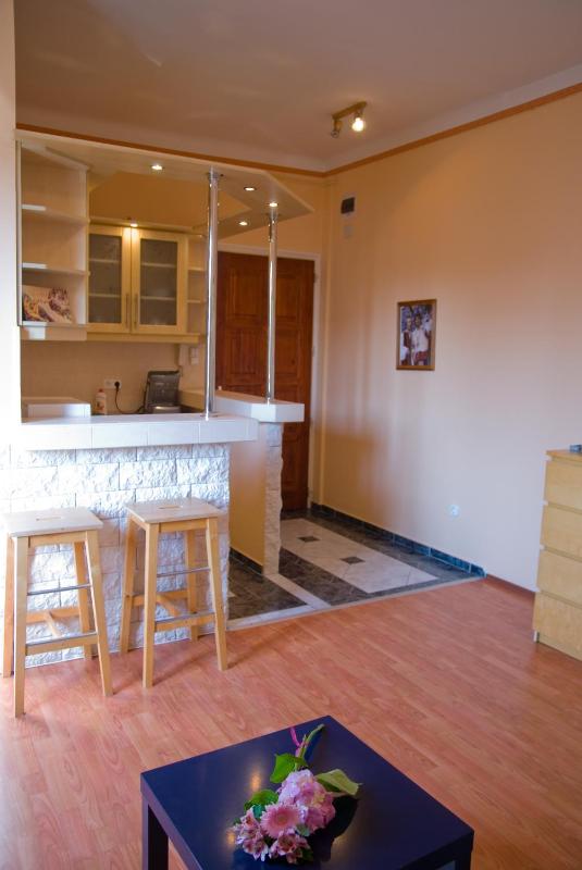 Deak Apartment - image 1