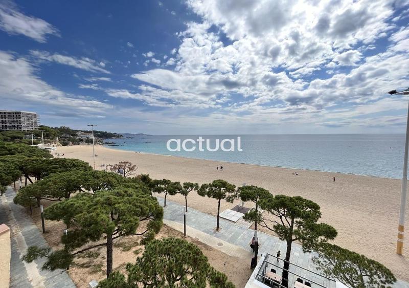 Alexandra C-4 - image 9