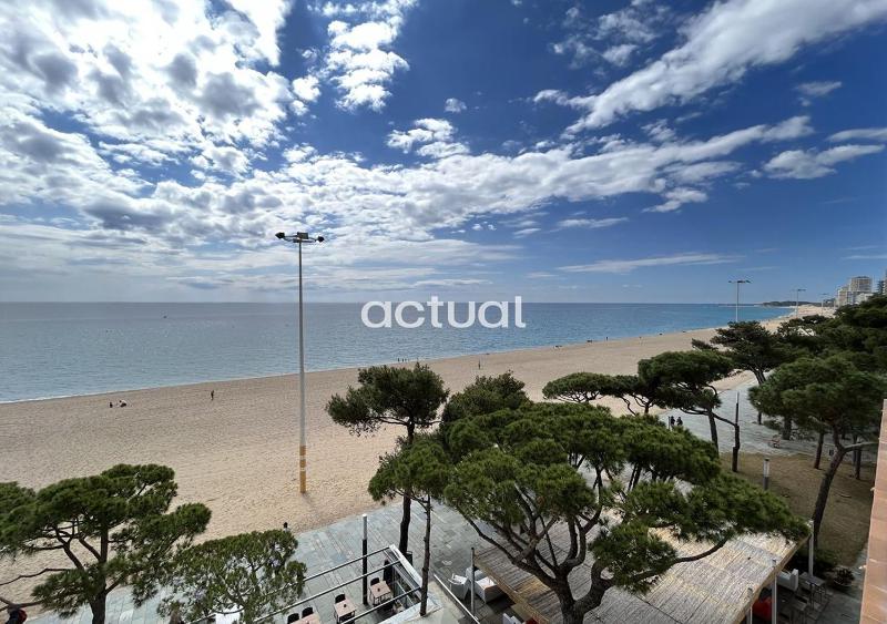 Alexandra C-4 - image 8