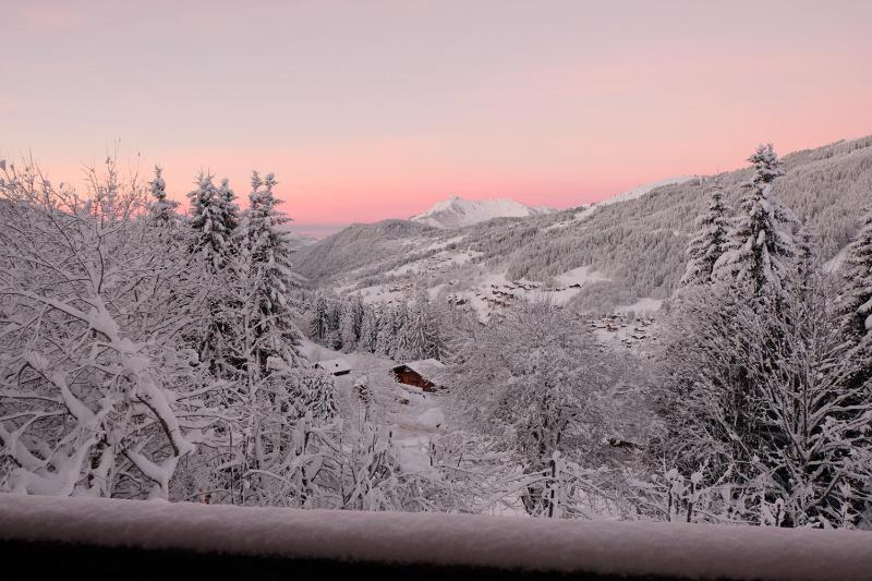 Chalet Les Carres - image 26