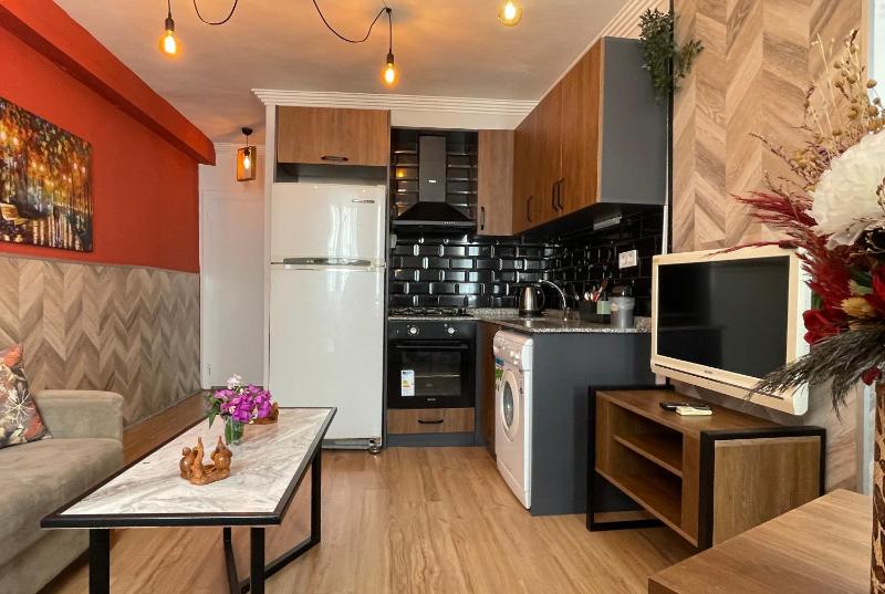 Standard Apartment image 4