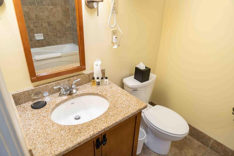 Standard Studio Suite image 4