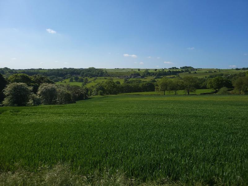 Top Hill Farm Cottage - image 29