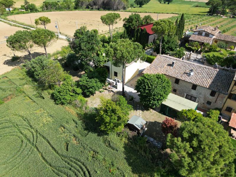 La Casa di Bach - image 11
