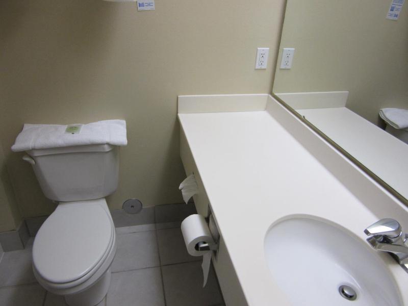 Deluxe King Room image 2