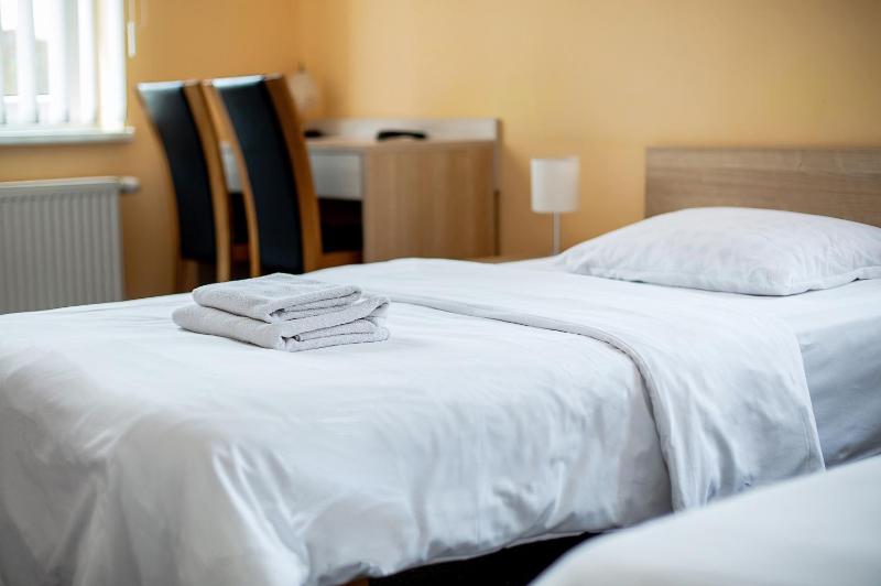 Standard Twin Room image 3
