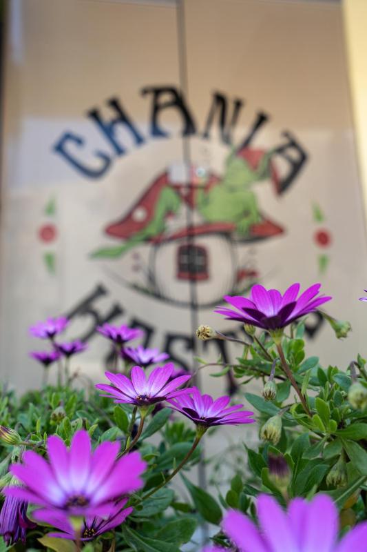 Chania Hostel Youth 18-50 years old - image 26