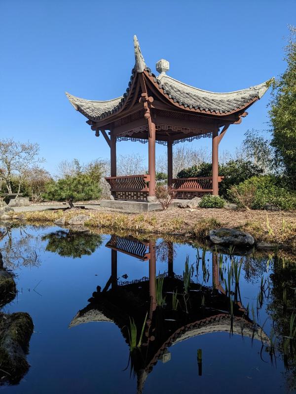 High Point Guesthouse - Next to Seattle Chinese Garden - image 14