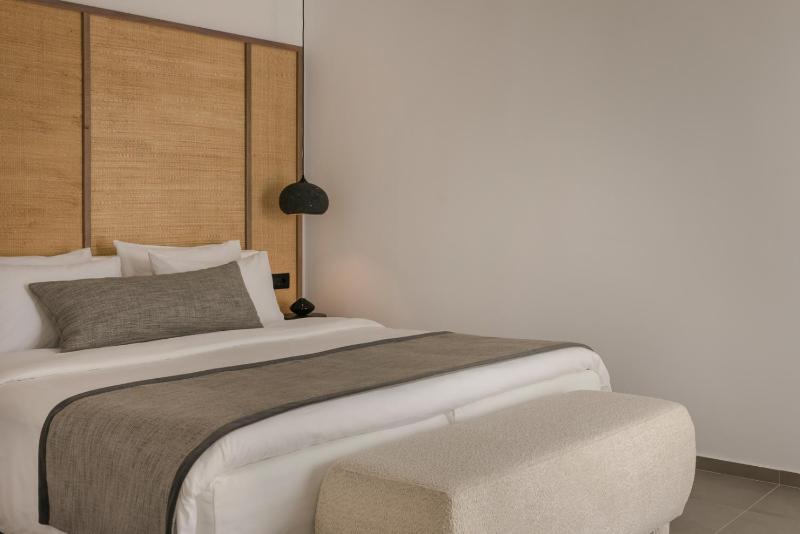 Junior Suite with Plunge Pool image 3