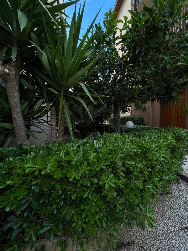 Turums B&B - image 22