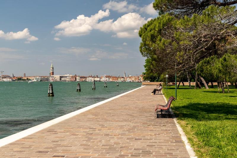 One-Bedroom Apartment image 2