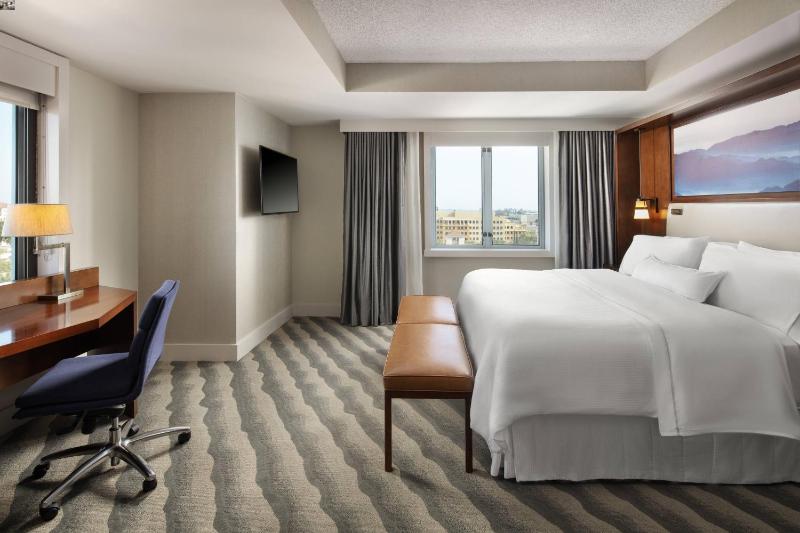 Executive King Guest Room image 3