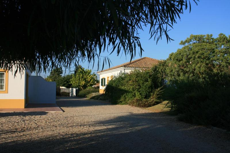 Casas das Amoreiras - image 11