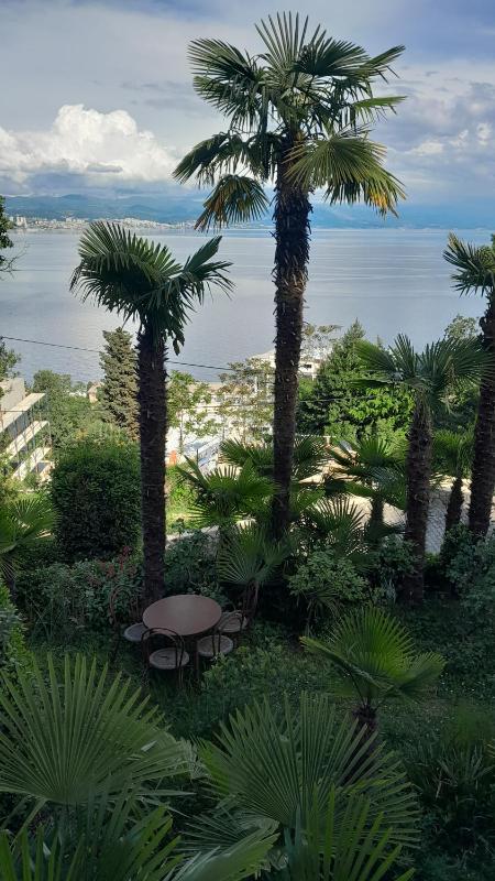 Apartment Ana - image 46