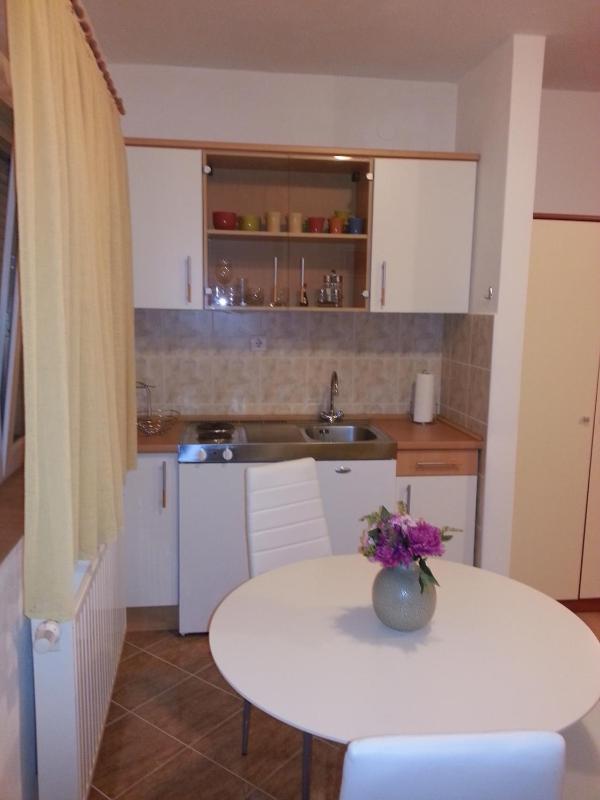 New Studio Apartments Trlaja - image 5