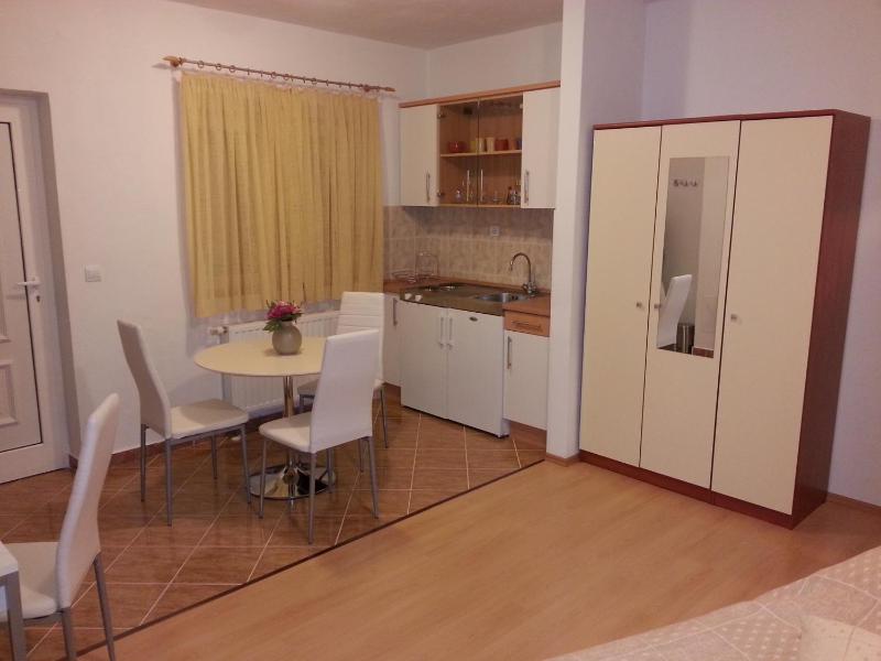 New Studio Apartments Trlaja - image 2